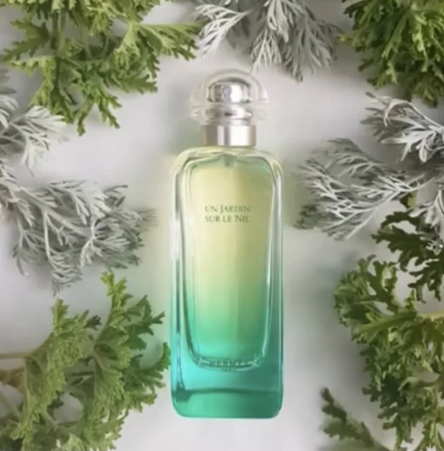 Fotografía conceptual del frasco de perfume Un Jardin sur le Nil de Hermès, rodeado de hojas verdes y grisáceas.